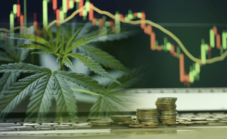The Top Cannabis Stocks Seeing Higher Highs